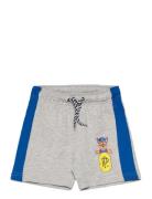 Paw Patrol Shorts Grå