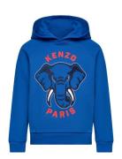 Kenzo Hooded Sweatshirt Blå