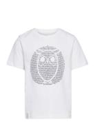 Knowledge Cotton Apparel Regular Fit Owl Chest Print - Gots/ Vit