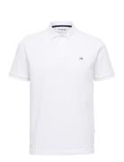 Selected Homme Slhdante Ss Polo Noos Vit