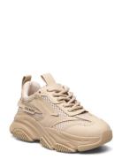 Steve Madden Jpossession Sneaker Beige