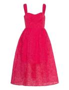 French Connection Embroidered Lace Strappy Dress Rosa