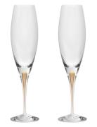 Intermezzo Champagne Glass Gold 2-Pack Home Tableware Glass Champagne ...