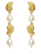 Caroline Svedbom Shell Pearl Earrings Guld