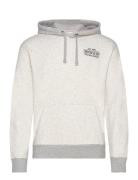 Hollister Hco. Guys Sweatshirts Grå