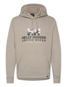 Helly Hansen Arctic Ocean Hoodie Beige