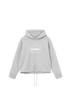 Cuera Cropped Merch Hoodie Grå