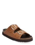 Scholl Sl Beatriz Leather Brun