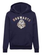 Harry Potter Sweat Kangourou Marinblå