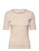 GANT Slim Striped 1X1 Ribbed Ss T-Shirt Kräm