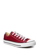 Converse Chuck Taylor All Star Burgundy
