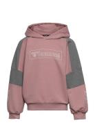 Hummel Hmlboxline Hoodie Rosa