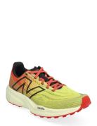 New Balance New Balance Fuelcell Summit Unknown V5 Multi/patterned