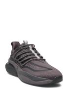 Adidas Sportswear Alphaboost V1 Svart