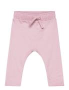 The New Tnsjuliana Harem Sweatpants Rosa