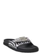 Scholl Sl Pescura Anne Printed Suede Svart