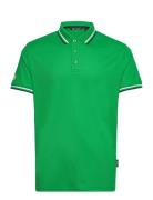 Abacus Mens Pines Polo Grön