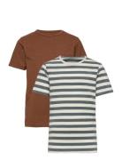 Minymo Basic 32 -T-Shirt Ss Brun