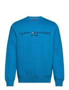 Tommy Hilfiger Tommy Logo Sweatshirt Blå