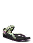 Teva Original Universal Multi/patterned