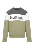 Hummel Hmlclaes Sweatshirt Grön