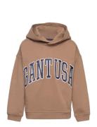 GANT Over D Gant Usa Sweat Hoodie Brun