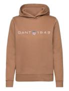 GANT Reg Printed Graphic Hoodie Brun