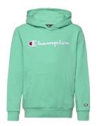 Champion Hooded Sweatshirt Grön