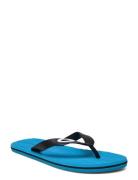 Oakley Sports Catalina Flip Flop Blå