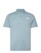 Castore Pinnacle Pique Stripe Polo Blå