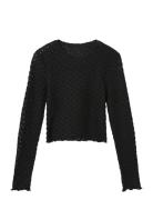 LMTD Nlfralma Ls Crop Top Svart