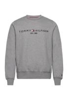 Tommy Hilfiger Tommy Logo Sweatshirt Grå