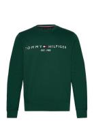 Tommy Hilfiger Tommy Logo Sweatshirt Grön