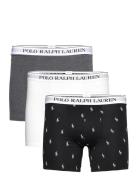 Polo Ralph Lauren Underwear Bci Cotton/Elastane-3Pk-Bxb Svart