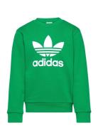 Adidas Originals Trefoil Crew Grön