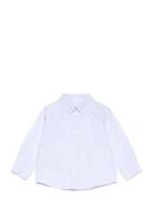Mango Oxford Cotton Shirt Blå