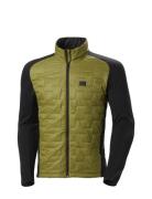 Helly Hansen Lifa Loft Hybrid Insulator Jkt Grön