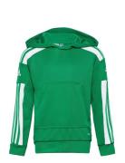 Adidas Performance Squadra21 Hoody Youth Grön