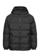 Mango Hood Quilted Coat Svart