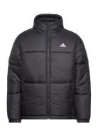 Adidas Sportswear Bsc 3-Stripes Puffy Hooded Jacket Svart