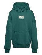 Converse Cnvn Relaxed Flc Po Hoodie / Cnvn Relaxed Flc Po Hoodie Grön