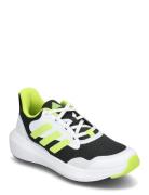 Adidas Sportswear Fortarun 3.0 J Grön