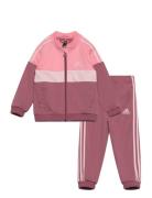 Adidas Sportswear I Tiberio Ts Rosa