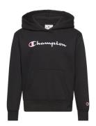 Champion Hooded Sweatshirt Svart