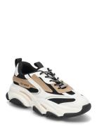 Steve Madden Possession-E Sneaker Vit