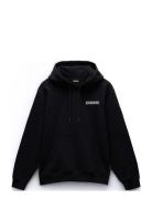 Napapijri Linth Hoodie Svart