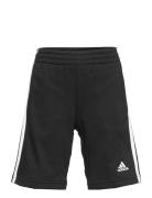 Adidas Sportswear Lk 3S Short Svart