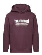 Hummel Hmltukas Hoodie Lila