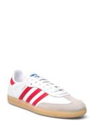 Adidas Originals Samba Og J Vit