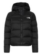 The North Face W Hyalite Down Hoodie - Eu Svart